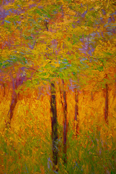 Summer Light, oil on canvas with frame 32"x50"x2, 2023