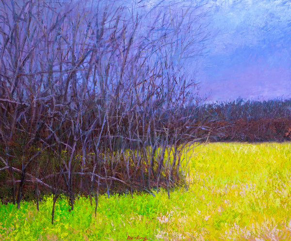 Yellow Green and  Purple, oil on canvas 42x50x2 inches with frame, 2024