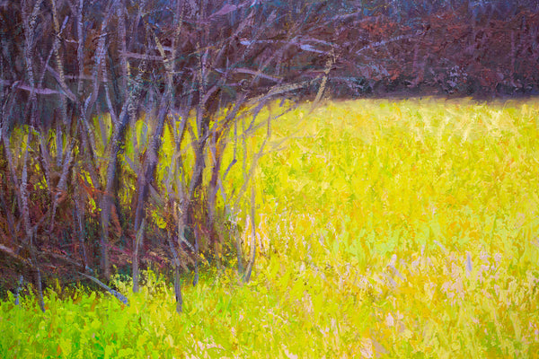 Yellow Green and  Purple, oil on canvas 42x50x2 inches with frame, 2024