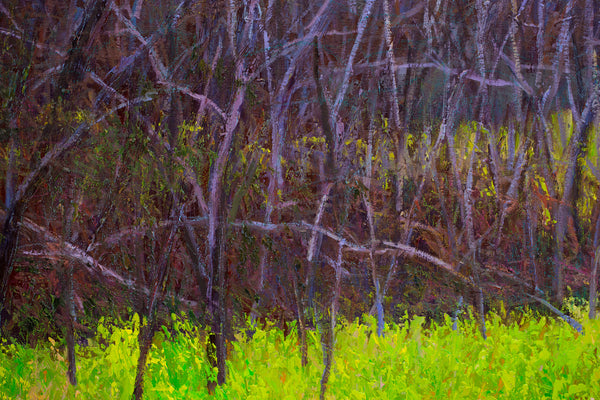 Yellow Green and  Purple, oil on canvas 42x50x2 inches with frame, 2024