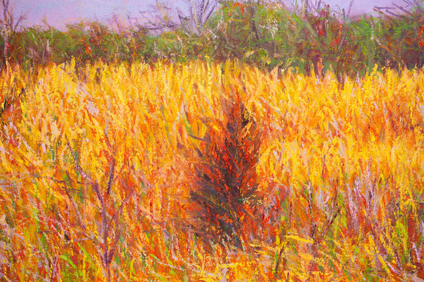 Autumn Afternoon, oil on canvas 42x50x2 inches with frame, 2024