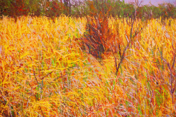 Autumn Afternoon, oil on canvas 42x50x2 inches with frame, 2024