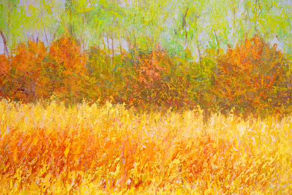Bayside Early Spring, oil on canvas 42x62x2 inches, 2024