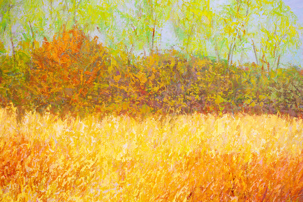 Bayside Early Spring, oil on canvas 42x62x2 inches, 2024