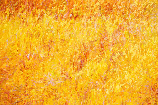 Bayside Early Spring, oil on canvas 42x62x2 inches, 2024