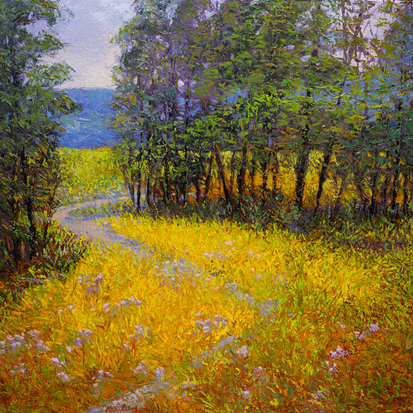 Summer Field I, oil on canvas 42"x42"x2" (sold)