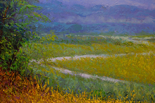 Summer Field II, oil on canvas 42"x42"x2", 2024(sold)
