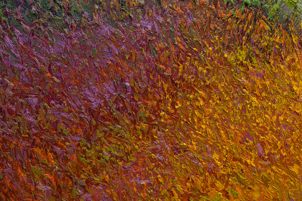 Summer Field II, oil on canvas 42"x42"x2", 2024(sold)