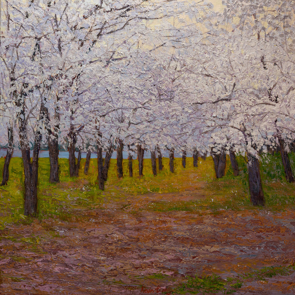 Whispers of Spring in DC, oil on canvas 42"x42"x2", 2025