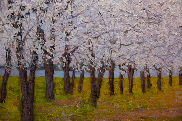 Whispers of Spring in DC, oil on canvas 42"x42"x2", 2025