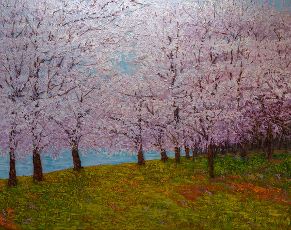 Blossom Breeze in DC, oil on canvas 48"x60"x2", 2025
