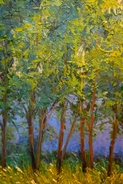 Summer Reflection, 2023, oil on canvas 27"x37"x1.5"