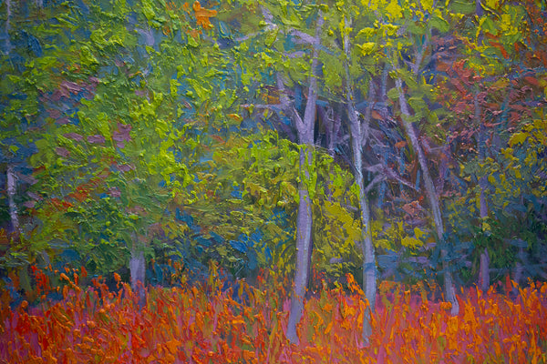 White Mountain Series 4, oil on canvas 31"x41"x2", 2022