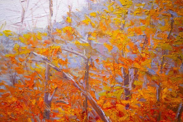 White Mountain Series 9, oil on canvas 42"x50", 2023