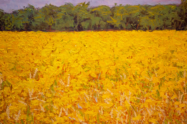 Yellow Field I, 2023, oil on canvas 27"x37"x1.5"(sold)