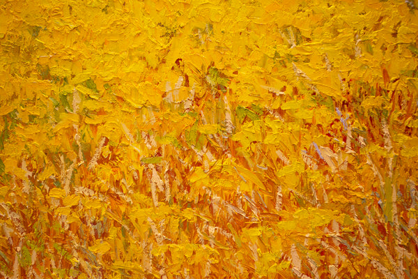 Yellow Field I, 2023, oil on canvas 27"x37"x1.5"(sold)