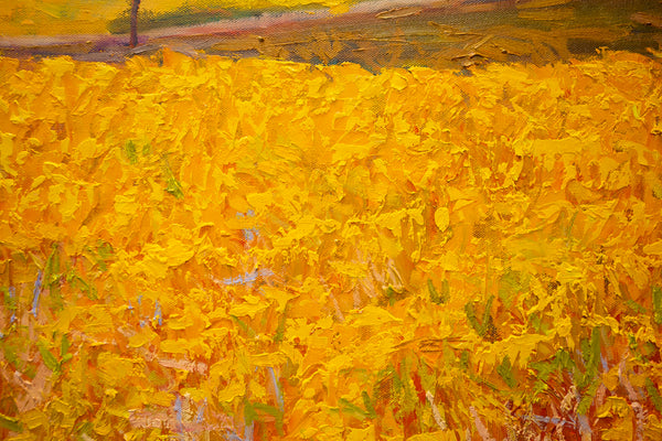 Yellow Field II, 2023, oil on canvas 27"x37"x1.5"