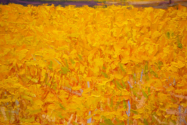 Yellow Field II, 2023, oil on canvas 27"x37"x1.5"