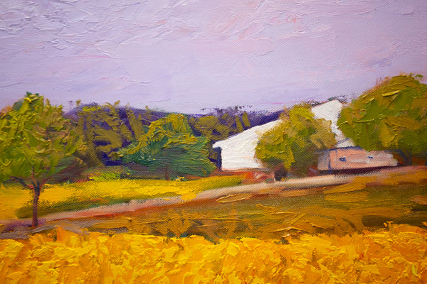 Yellow Field II, 2023, oil on canvas 27"x37"x1.5"