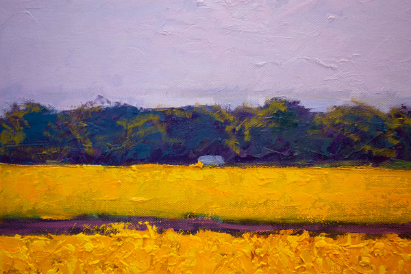 Yellow Field II, 2023, oil on canvas 27"x37"x1.5"