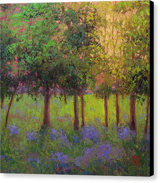 Summer Morning - Canvas Print