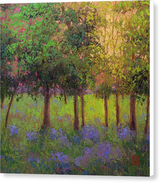 Summer Morning - Canvas Print