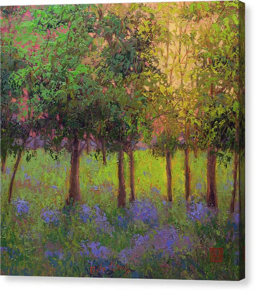 Summer Morning - Canvas Print