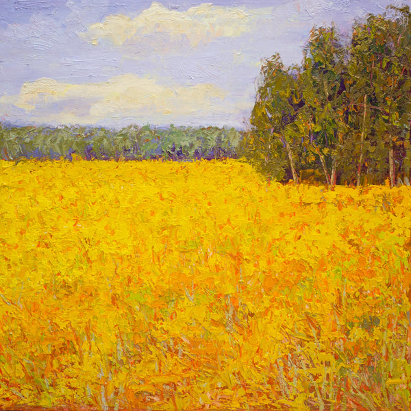 Summer Field, oil on canvas with frame 25"x25"x1.5", 2023