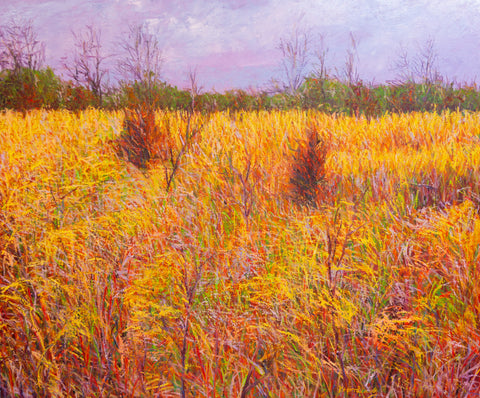 Spring Afternoon, oil on canvas 42x50x2 inches with frame, 2024