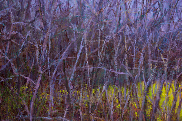 Yellow Green and  Purple, oil on canvas 42x50x2 inches with frame, 2024