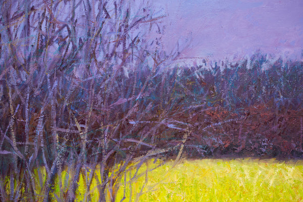 Yellow Green and  Purple, oil on canvas 42x50x2 inches with frame, 2024