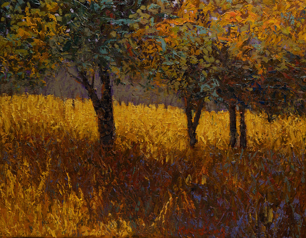 Summer Afternoon 25"x31"x2" 2025