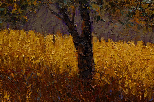 Summer Afternoon 25"x31"x2" 2025