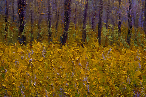 Spring Light 25"x31"x2" 2025