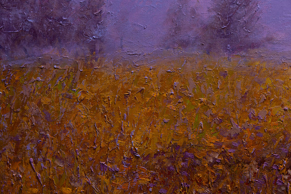 Morning Field 19"x31"x2"