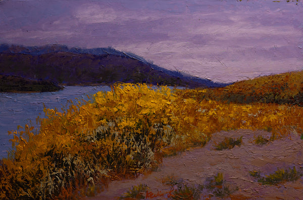 Hill side 17"x25"x2" 2025