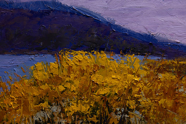 Hill side 17"x25"x2" 2025