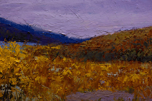 Hill side 17"x25"x2" 2025