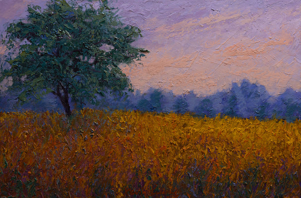 Summer Field 17"x25"x2" 2025