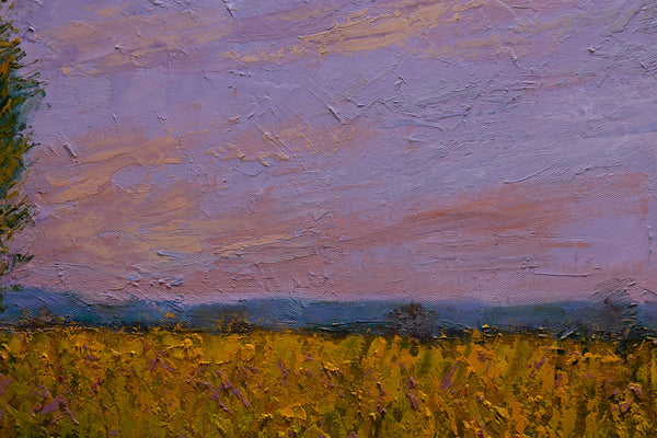 Summer Morning 17"x25"x2" 2025