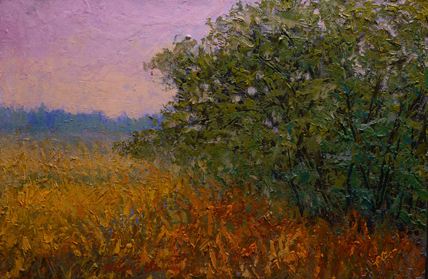 Morning Field 17"x25"x2" 2025