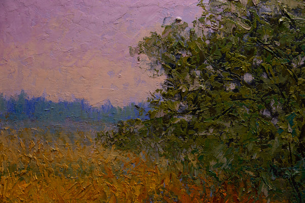 Morning Field 17"x25"x2" 2025