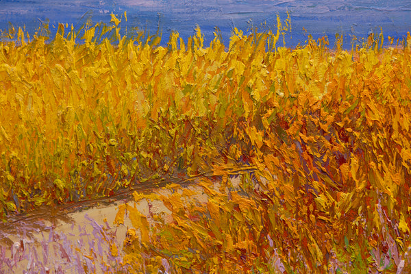 Golden Meadow II, oil on canvas 31"x50"x2", 2024