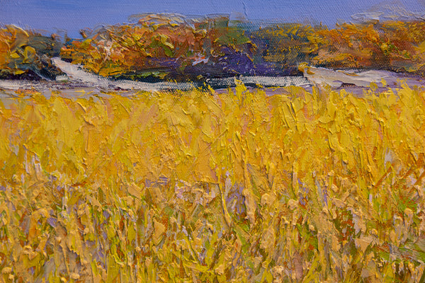 Golden Meadow I, oil on canvas 31"x50"x2", 2024