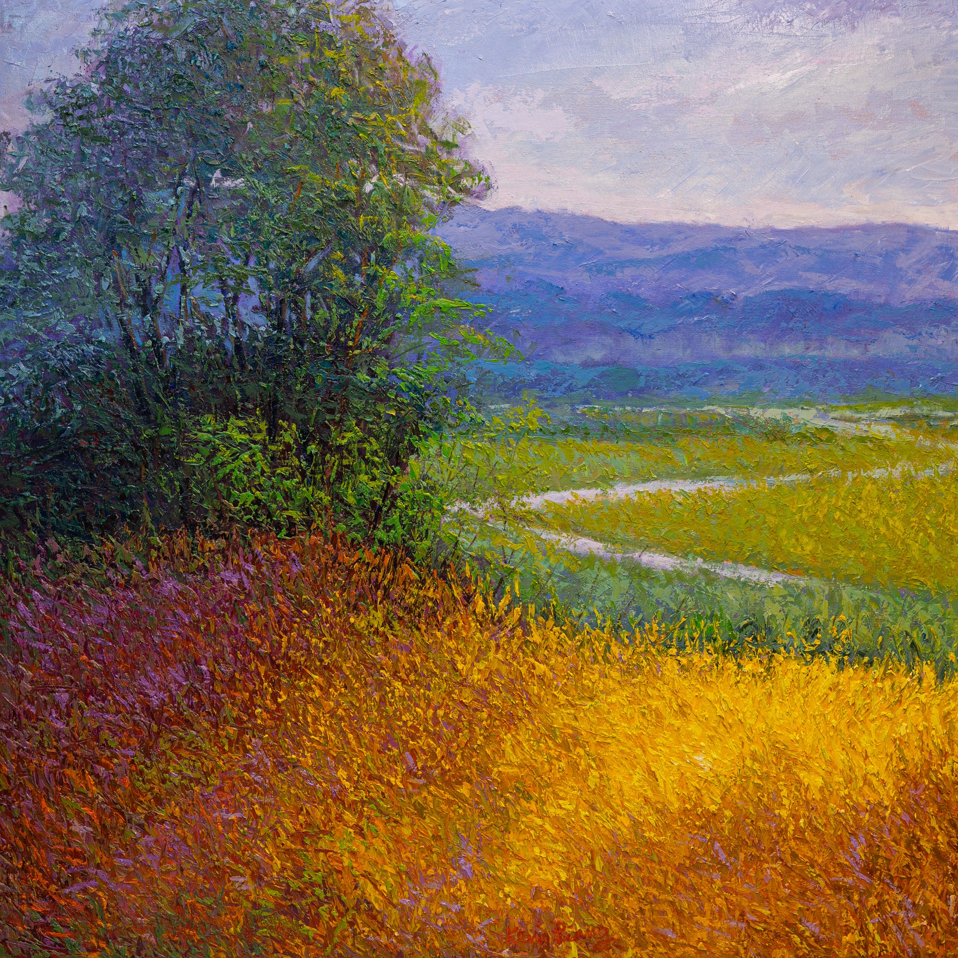 Summer Field II, oil on canvas 42"x42"x2", 2024