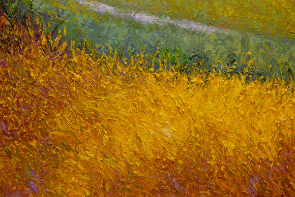 Summer Field II, oil on canvas 42"x42"x2", 2024