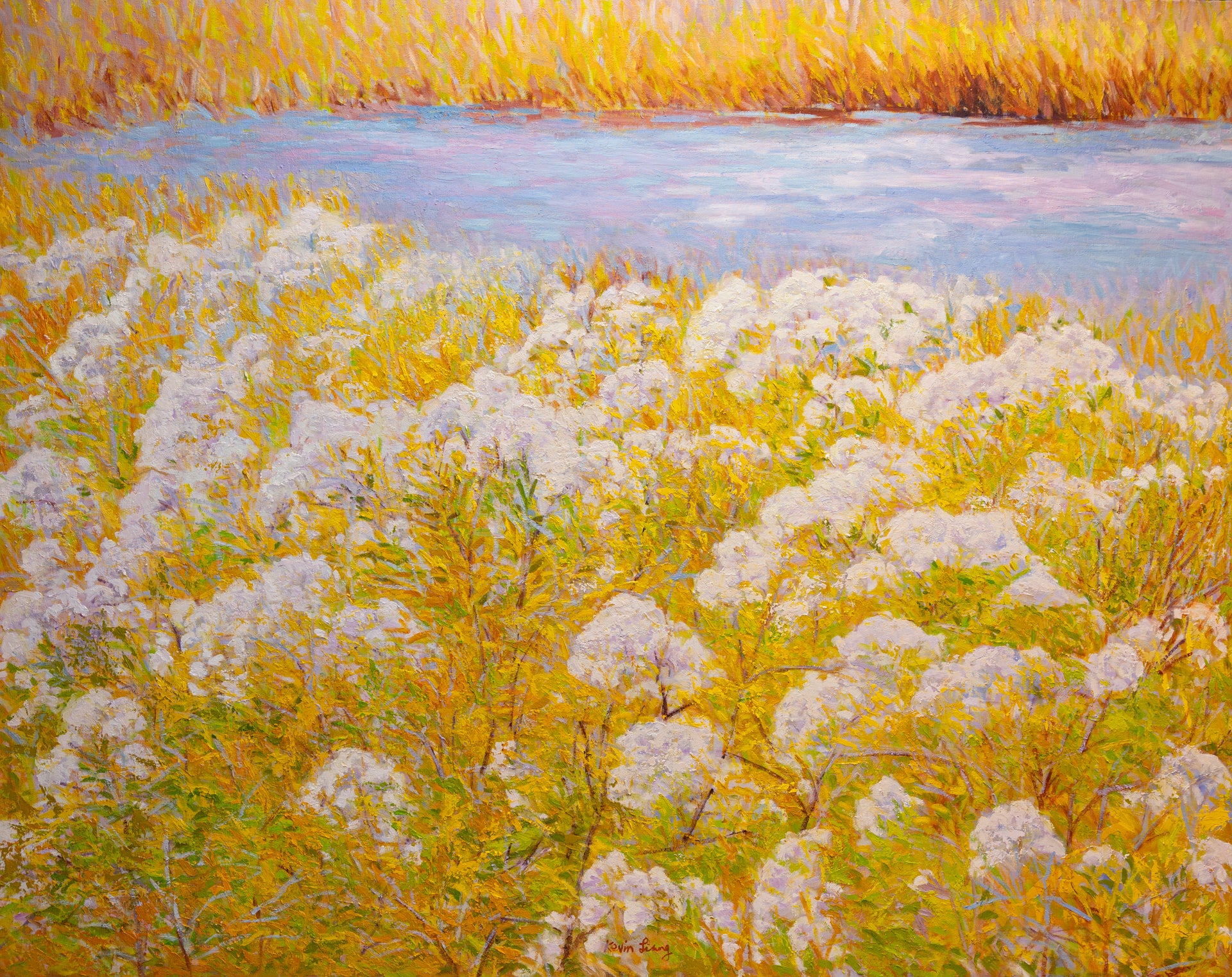 Golden Tranquility,  oil on canvas, 50"x60"x2", 2024