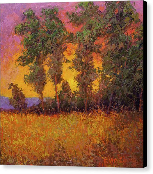 Autumn Sunset - Canvas Print