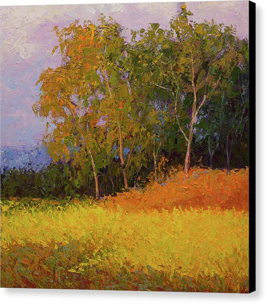 Autumn Sunset - Canvas Print