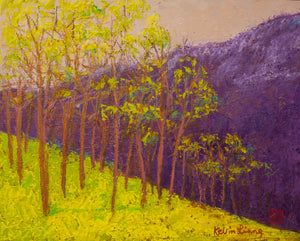"Green and Purple Hills"  Kevin Liang  2019  Original oil on canvas with frame 23"x27"